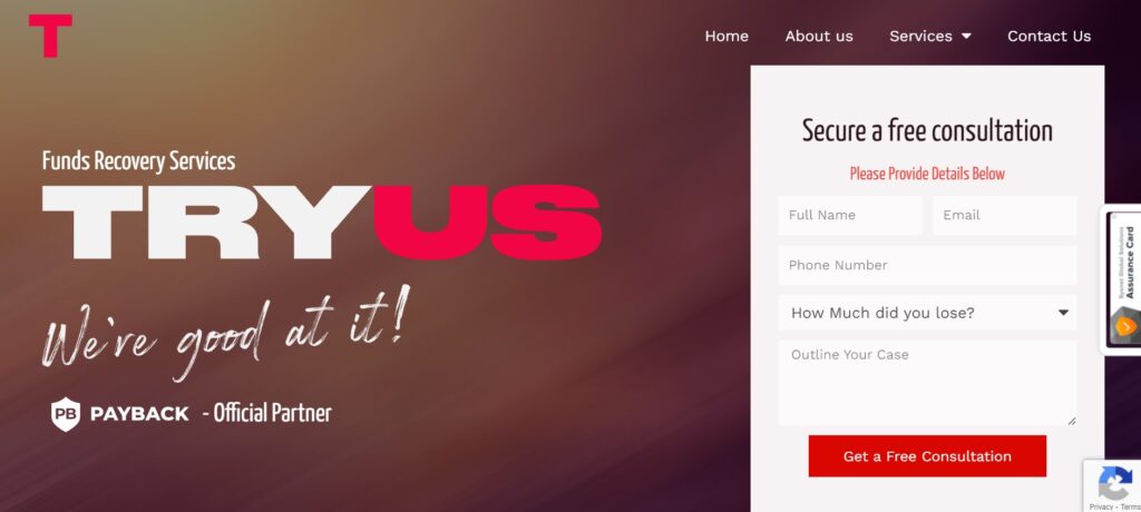 Try Us Consulting website Try Us Consulting website