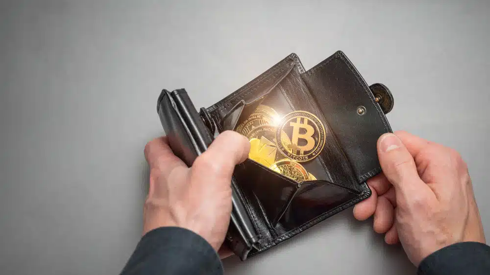 Bitcoin Wallet Explained - A Complete Guide to Storing BTC